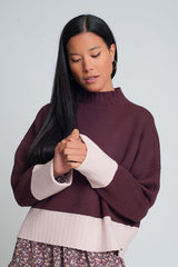 Camilla Maroon High Neck Knitted Sweater